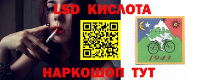 Альфа ПВП Заволжье